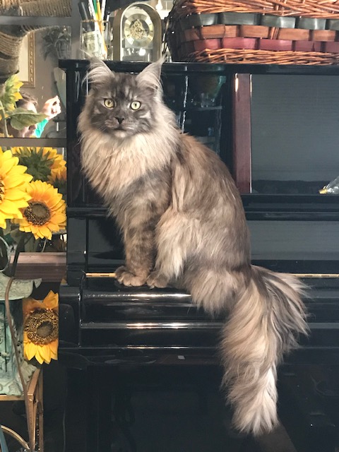 Truffles, an absolute delight, most of the time.